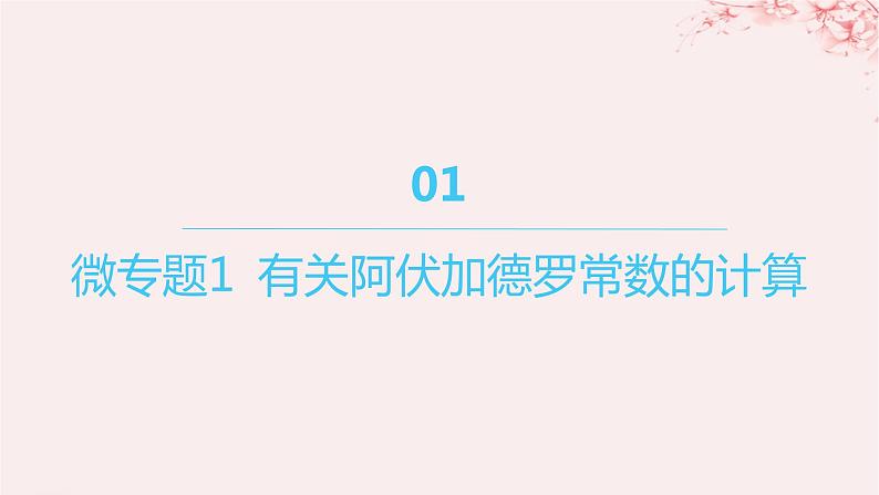 江苏专用2023_2024学年新教材高中化学专题2研究物质的基本方法微专题1有关阿伏加德罗常数的计算课件苏教版必修第一册01