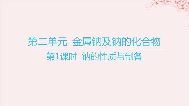 江苏专用2023_2024学年新教材高中化学专题3从海水中获得的化学物质第二单元金属钠及钠的化合物第一课时钠的性质与制备课件苏教版必修第一册01