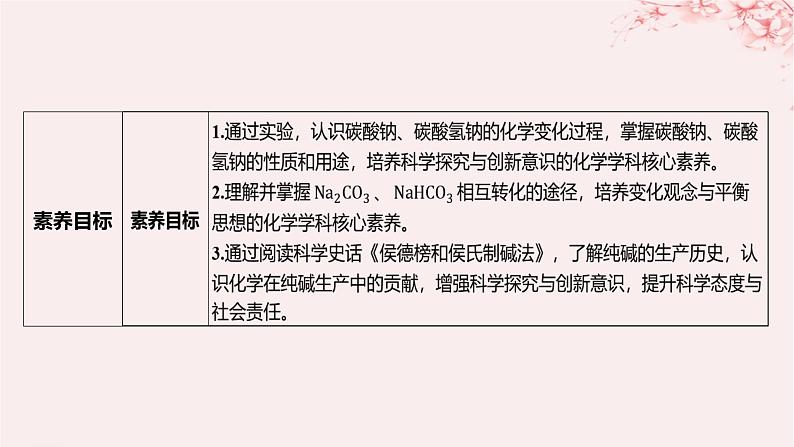 江苏专用2023_2024学年新教材高中化学专题3从海水中获得的化学物质第二单元金属钠及钠的化合物第二课时碳酸钠碳酸氢钠课件苏教版必修第一册03