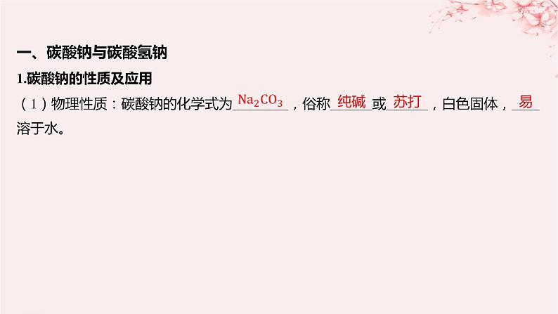 江苏专用2023_2024学年新教材高中化学专题3从海水中获得的化学物质第二单元金属钠及钠的化合物第二课时碳酸钠碳酸氢钠课件苏教版必修第一册05