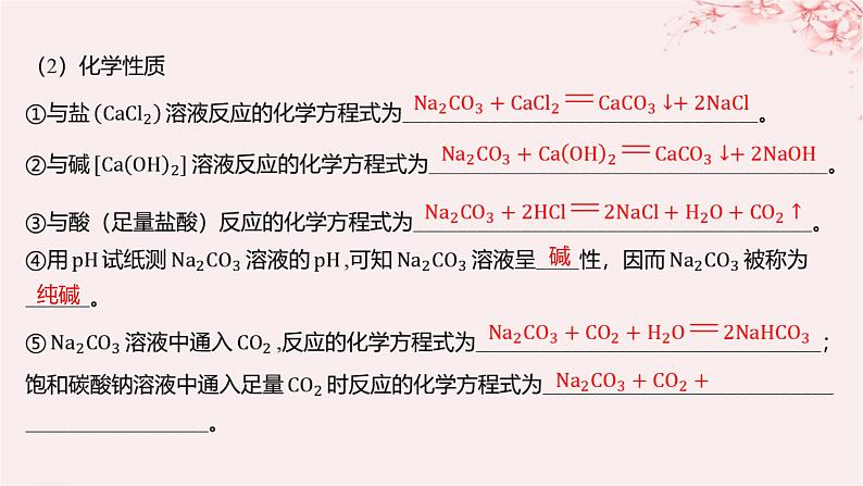 江苏专用2023_2024学年新教材高中化学专题3从海水中获得的化学物质第二单元金属钠及钠的化合物第二课时碳酸钠碳酸氢钠课件苏教版必修第一册06