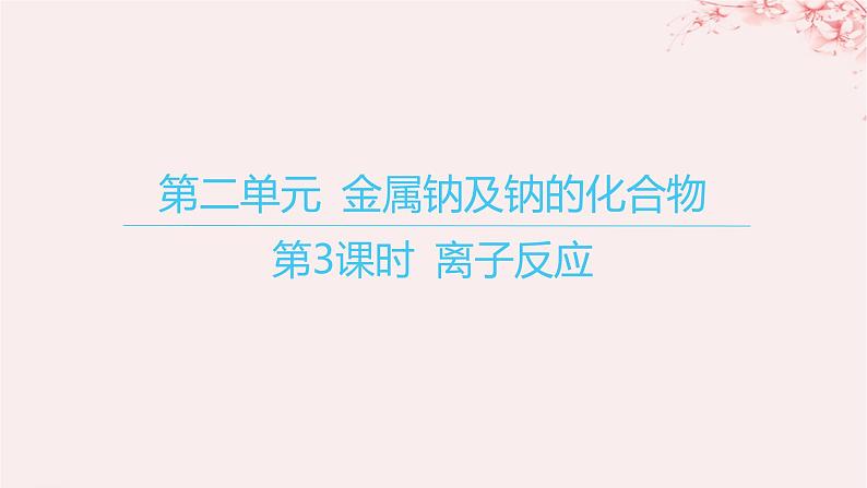 江苏专用2023_2024学年新教材高中化学专题3从海水中获得的化学物质第二单元金属钠及钠的化合物第三课时离子反应课件苏教版必修第一册01