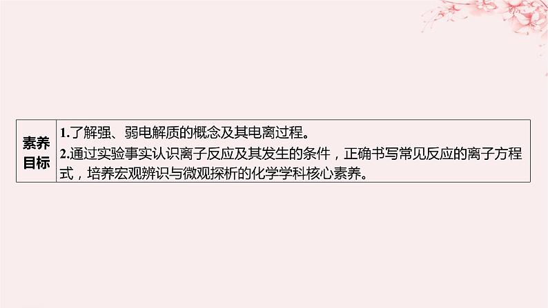 江苏专用2023_2024学年新教材高中化学专题3从海水中获得的化学物质第二单元金属钠及钠的化合物第三课时离子反应课件苏教版必修第一册03