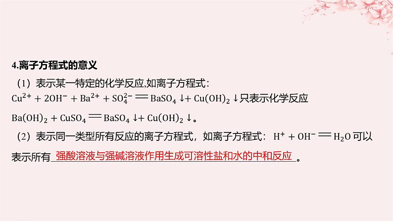 江苏专用2023_2024学年新教材高中化学专题3从海水中获得的化学物质第二单元金属钠及钠的化合物第三课时离子反应课件苏教版必修第一册08