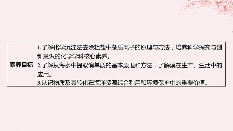 江苏专用2023_2024学年新教材高中化学专题3从海水中获得的化学物质第三单元海洋化学资源的综合利用第一课时粗盐提纯从海水中提取溴课件苏教版必修第一册03