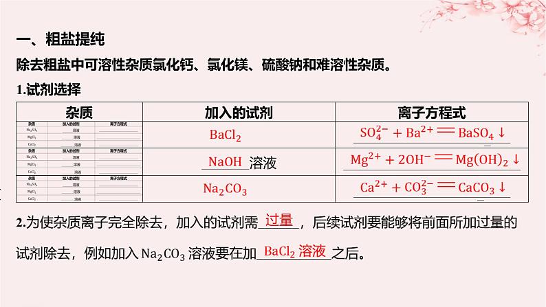 江苏专用2023_2024学年新教材高中化学专题3从海水中获得的化学物质第三单元海洋化学资源的综合利用第一课时粗盐提纯从海水中提取溴课件苏教版必修第一册05