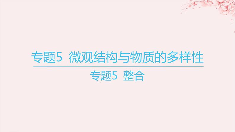 江苏专用2023_2024学年新教材高中化学专题5微观结构与物质的多样性整合课件苏教版必修第一册01