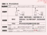 江苏专用2023_2024学年新教材高中化学专题5微观结构与物质的多样性第一单元元素周期律和元素周期表第三课时同主族元素的性质课件苏教版必修第一册
