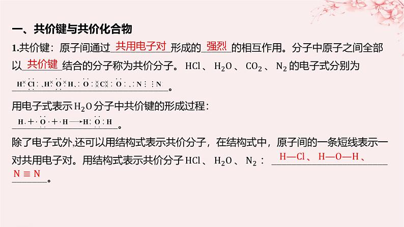 江苏专用2023_2024学年新教材高中化学专题5微观结构与物质的多样性第二单元微粒之间的相互作用力第二课时共价键分子间作用力课件苏教版必修第一册第5页