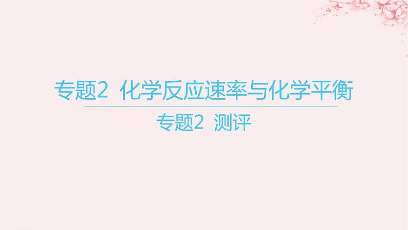 江苏专用2023_2024学年新教材高中化学专题2化学反应速率与化学平衡测评课件苏教版选择性必修101