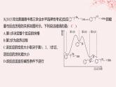 江苏专用2023_2024学年新教材高中化学专题2化学反应速率与化学平衡第一单元化学反应速率微专题5化学反应历程与化学反应速率分层作业课件苏教版选择性必修1