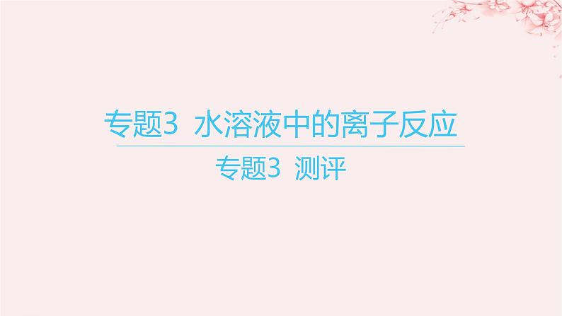 江苏专用2023_2024学年新教材高中化学专题3水溶液中的离子反应测评课件苏教版选择性必修101