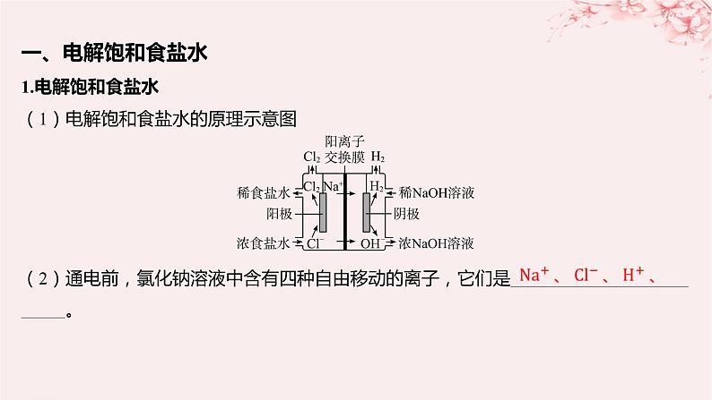 江苏专用2023_2024学年新教材高中化学专题1化学反应与能量变化第二单元化学能与电能的转化第五课时电解原理的应用课件苏教版选择性必修105