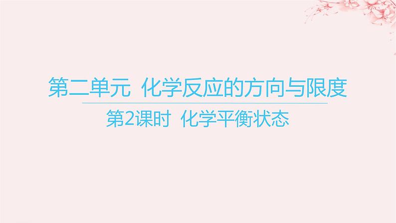 江苏专用2023_2024学年新教材高中化学专题2化学反应速率与化学平衡第二单元化学反应的方向与限度第二课时化学平衡状态课件苏教版选择性必修101