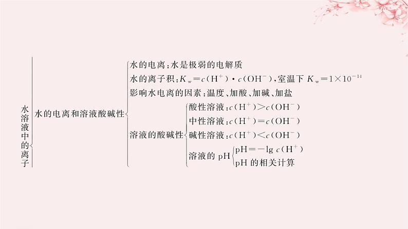 江苏专用2023_2024学年新教材高中化学专题3水溶液中的离子反应整合课件苏教版选择性必修105