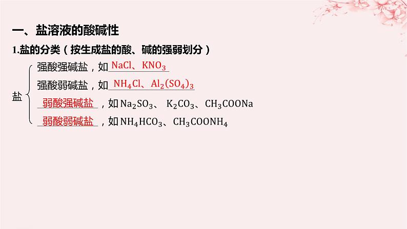 江苏专用2023_2024学年新教材高中化学专题3水溶液中的离子反应第三单元盐类的水解第一课时盐类水解的原理课件苏教版选择性必修1第5页