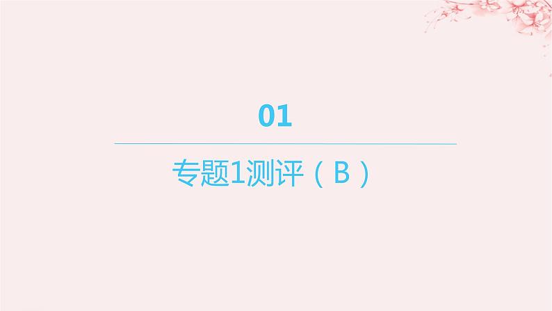 江苏专用2023_2024学年新教材高中化学专题1揭示物质结构的奥秘测评B课件苏教版选择性必修201