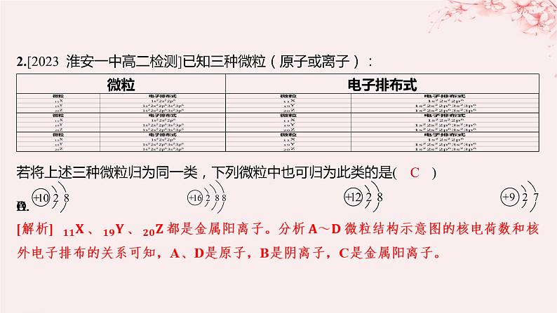 江苏专用2023_2024学年新教材高中化学专题2原子结构与元素性质第一单元原子核外电子的运动第二课时原子核外电子的排布分层作业课件苏教版选择性必修202