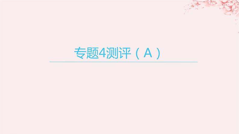 江苏专用2023_2024学年新教材高中化学专题4分子空间结构与物质性质测评A课件苏教版选择性必修201