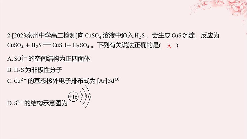 江苏专用2023_2024学年新教材高中化学专题4分子空间结构与物质性质测评A课件苏教版选择性必修203