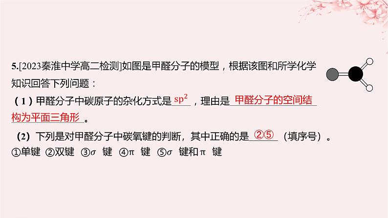 江苏专用2023_2024学年新教材高中化学专题4分子空间结构与物质性质第一单元分子的空间结构第一课时杂化轨道理论与分子空间结构分层作业课件苏教版选择性必修204