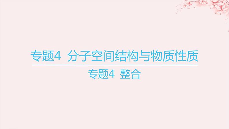 江苏专用2023_2024学年新教材高中化学专题4分子空间结构与物质性质整合课件苏教版选择性必修201