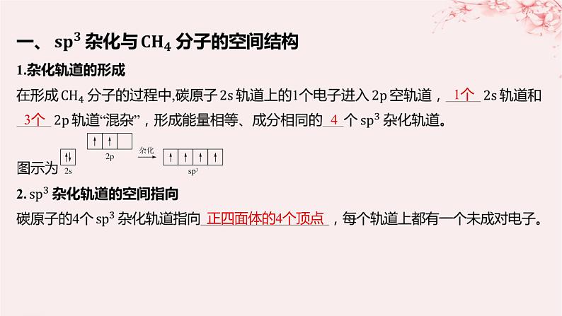 江苏专用2023_2024学年新教材高中化学专题4分子空间结构与物质性质第一单元分子的空间结构第一课时杂化轨道理论与分子空间结构课件苏教版选择性必修205