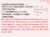 江苏专用2023_2024学年新教材高中化学专题4生活中常用的有机物__烃的含氧衍生物微专题6多官能团有机物性质判断与定量分析分层作业课件苏教版选择性必修3