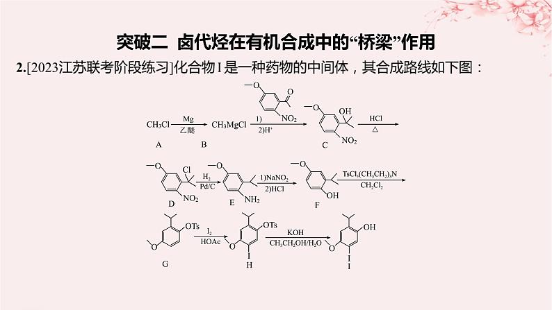 江苏专用2023_2024学年新教材高中化学专题5药物合成的重要原料__卤代烃胺酰胺分层作业课件苏教版选择性必修304