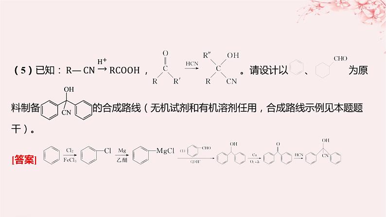 江苏专用2023_2024学年新教材高中化学专题5药物合成的重要原料__卤代烃胺酰胺分层作业课件苏教版选择性必修307