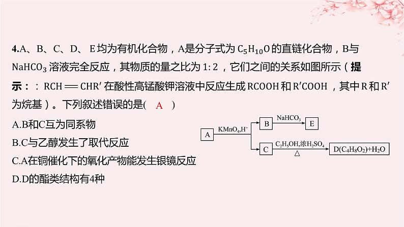 江苏专用2023_2024学年新教材高中化学专题5药物合成的重要原料__卤代烃胺酰胺微专题8有机推断题解题的突破分层作业课件苏教版选择性必修3第7页