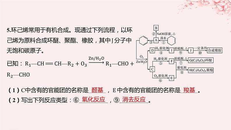 江苏专用2023_2024学年新教材高中化学专题5药物合成的重要原料__卤代烃胺酰胺微专题8有机推断题解题的突破分层作业课件苏教版选择性必修3第8页