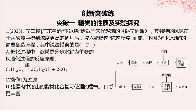 江苏专用2023_2024学年新教材高中化学专题6生命活动的物质基础__糖类油脂蛋白质分层作业课件苏教版选择性必修3第2页