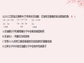 江苏专用2023_2024学年新教材高中化学专题6生命活动的物质基础__糖类油脂蛋白质第二单元蛋白质第一课时氨基酸蛋白质分层作业课件苏教版选择性必修3