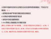 江苏专用2023_2024学年新教材高中化学专题6生命活动的物质基础__糖类油脂蛋白质第二单元蛋白质第二课时核酸的结构及生物功能分层作业课件苏教版选择性必修3
