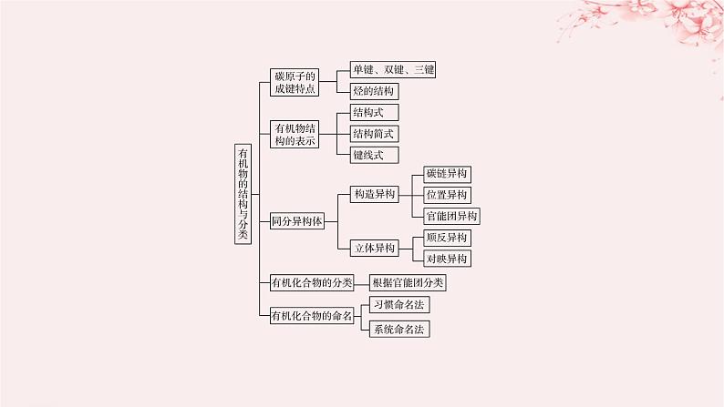 江苏专用2023_2024学年新教材高中化学专题2有机物的结构与分类整合课件苏教版选择性必修304