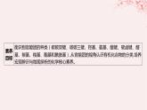 江苏专用2023_2024学年新教材高中化学专题2有机物的结构与分类第二单元有机化合物的分类和命名第一课时有机化合物的分类课件苏教版选择性必修3