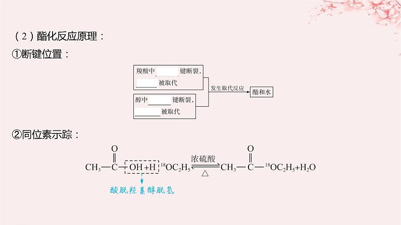 江苏专用2023_2024学年新教材高中化学专题4生活中常用的有机物__烃的含氧衍生物第二单元醛羧酸第二课时羧酸的性质和应用课件苏教版选择性必修308