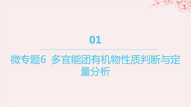 江苏专用2023_2024学年新教材高中化学专题4生活中常用的有机物__烃的含氧衍生物微专题6多官能团有机物性质判断与定量分析课件苏教版选择性必修3第1页