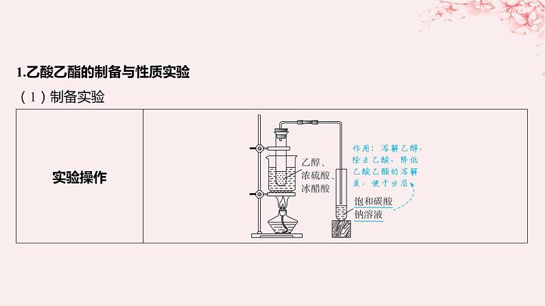 江苏专用2023_2024学年新教材高中化学专题4生活中常用的有机物__烃的含氧衍生物微专题5乙酸乙酯的制备实验及拓展课件苏教版选择性必修302