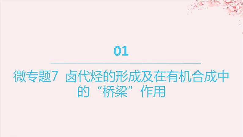 江苏专用2023_2024学年新教材高中化学专题5药物合成的重要原料__卤代烃胺酰胺微专题7卤代烃的形成及在有机合成中的“桥梁”作用课件苏教版选择性必修301