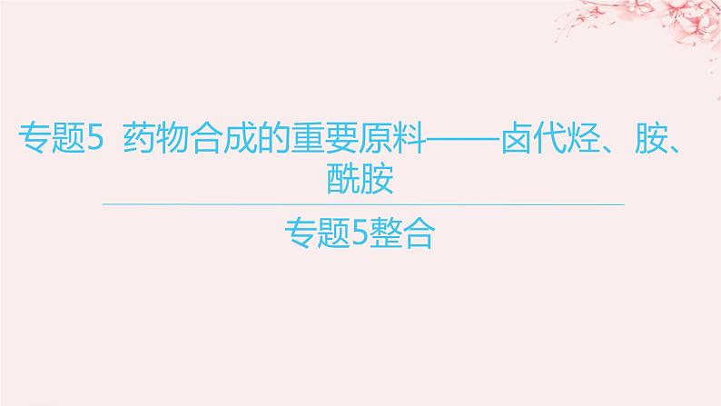 江苏专用2023_2024学年新教材高中化学专题5药物合成的重要原料__卤代烃胺酰胺整合课件苏教版选择性必修3第1页