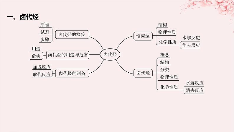 江苏专用2023_2024学年新教材高中化学专题5药物合成的重要原料__卤代烃胺酰胺整合课件苏教版选择性必修3第4页