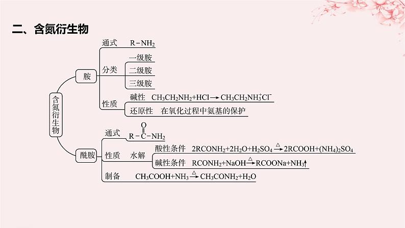 江苏专用2023_2024学年新教材高中化学专题5药物合成的重要原料__卤代烃胺酰胺整合课件苏教版选择性必修3第5页