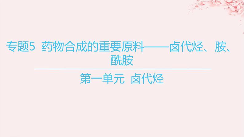 江苏专用2023_2024学年新教材高中化学专题5药物合成的重要原料__卤代烃胺酰胺第一单元卤代烃课件苏教版选择性必修301