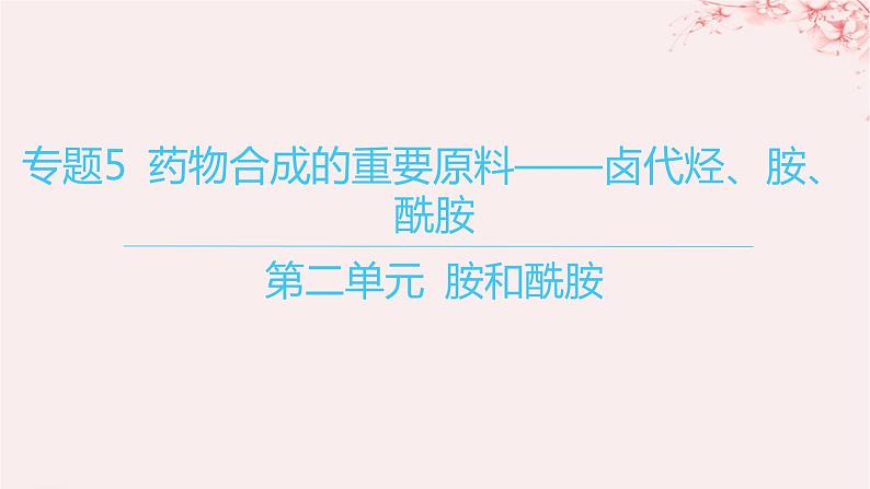 江苏专用2023_2024学年新教材高中化学专题5药物合成的重要原料__卤代烃胺酰胺第二单元胺和酰胺课件苏教版选择性必修301