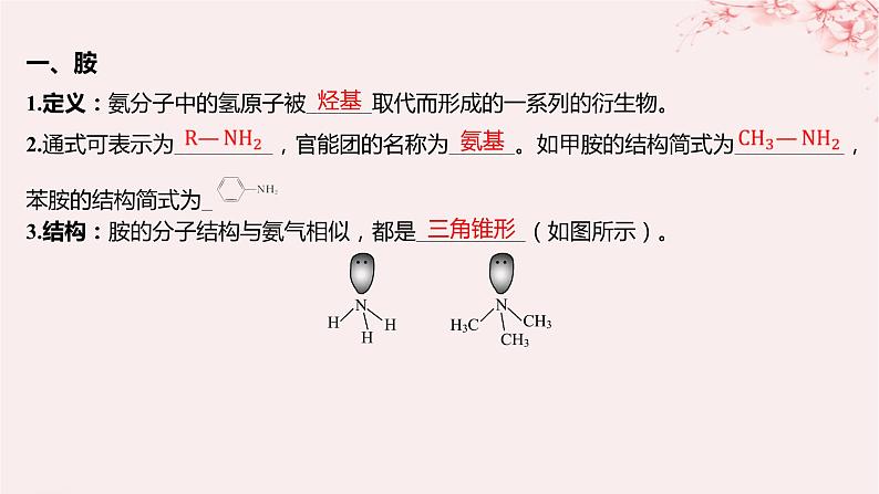 江苏专用2023_2024学年新教材高中化学专题5药物合成的重要原料__卤代烃胺酰胺第二单元胺和酰胺课件苏教版选择性必修305