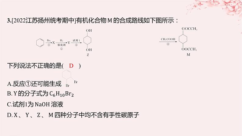 江苏专用2023_2024学年新教材高中化学专题5药物合成的重要原料__卤代烃胺酰胺第三单元有机合成设计第二课时重要有机物之间的转化及合成路线分层作业课件苏教版选择性必修3第4页