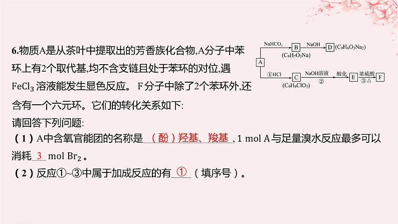 江苏专用2023_2024学年新教材高中化学专题5药物合成的重要原料__卤代烃胺酰胺第三单元有机合成设计第二课时重要有机物之间的转化及合成路线分层作业课件苏教版选择性必修3第8页