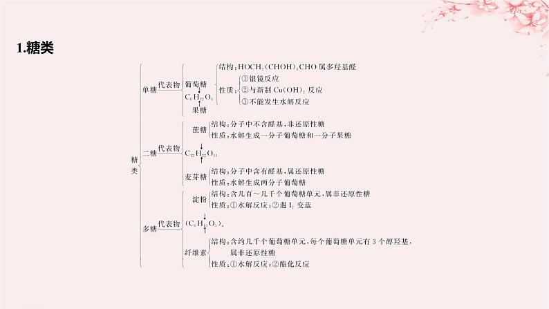 江苏专用2023_2024学年新教材高中化学专题6生命活动的物质基础__糖类油脂蛋白质整合课件苏教版选择性必修304